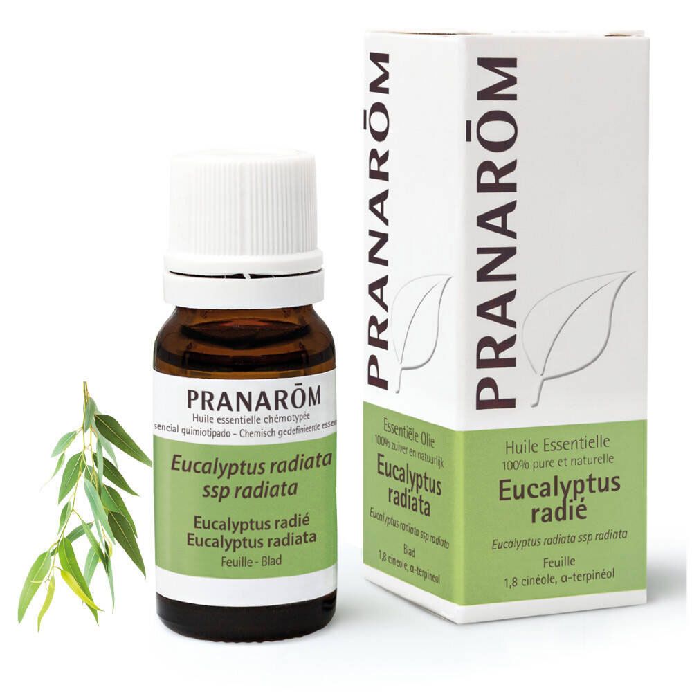 Pranarom Eucalyptus Radiata Essential Oil