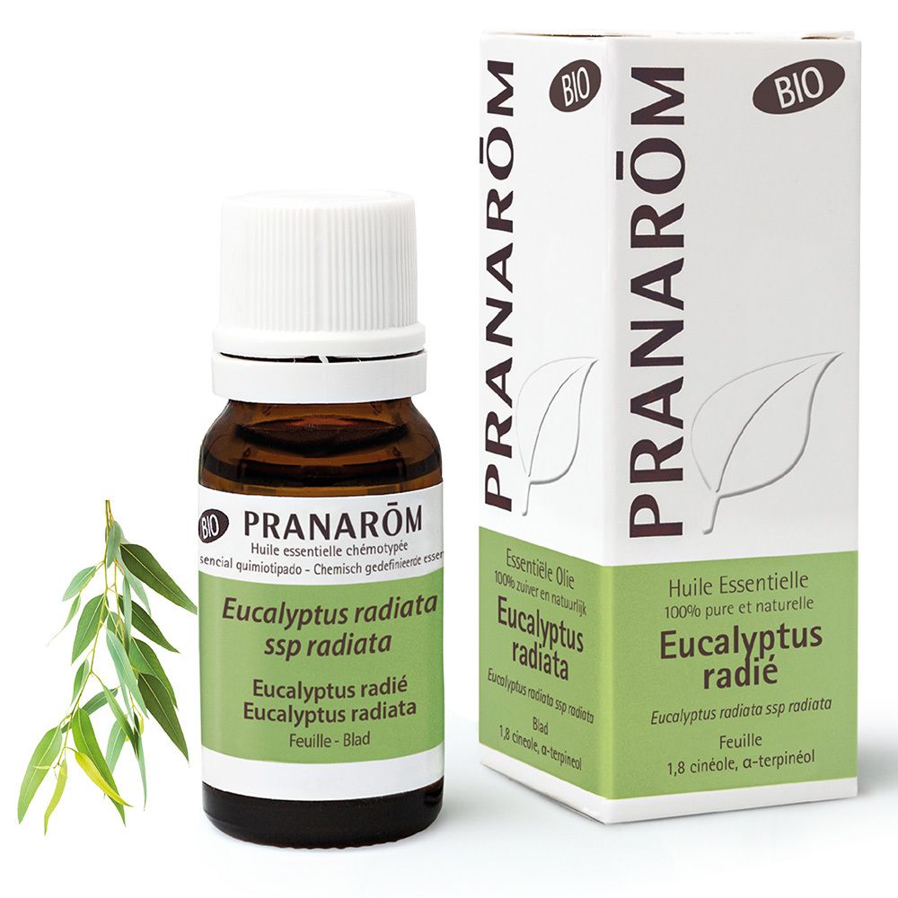Pranarom Eucalyptus Radiata Bio Essential Oil