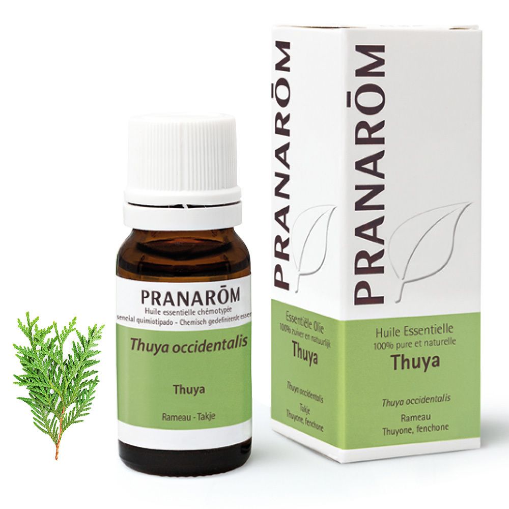 Pranarom Thuya Essential Oil