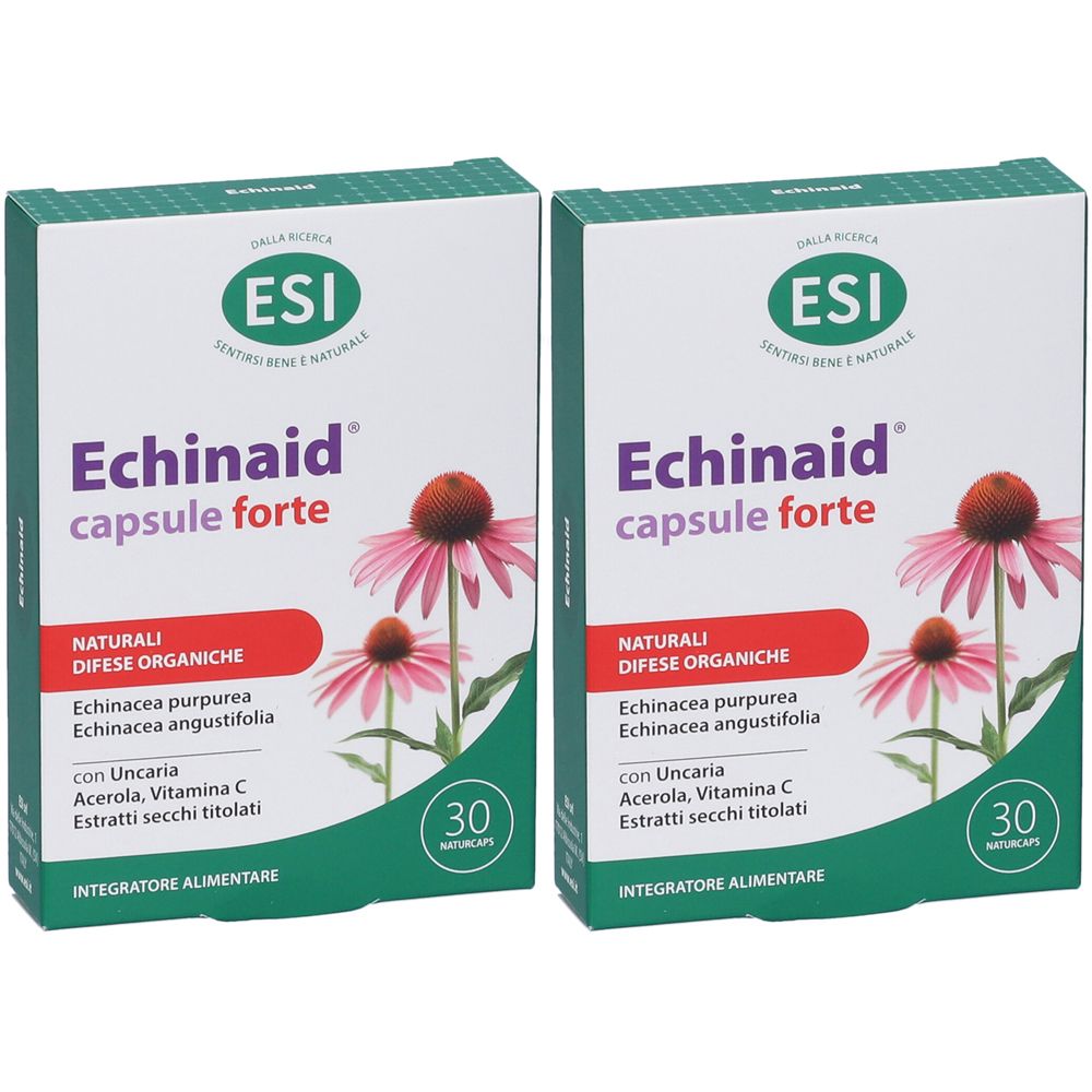 ESI Echinaid® Urto Set da 2