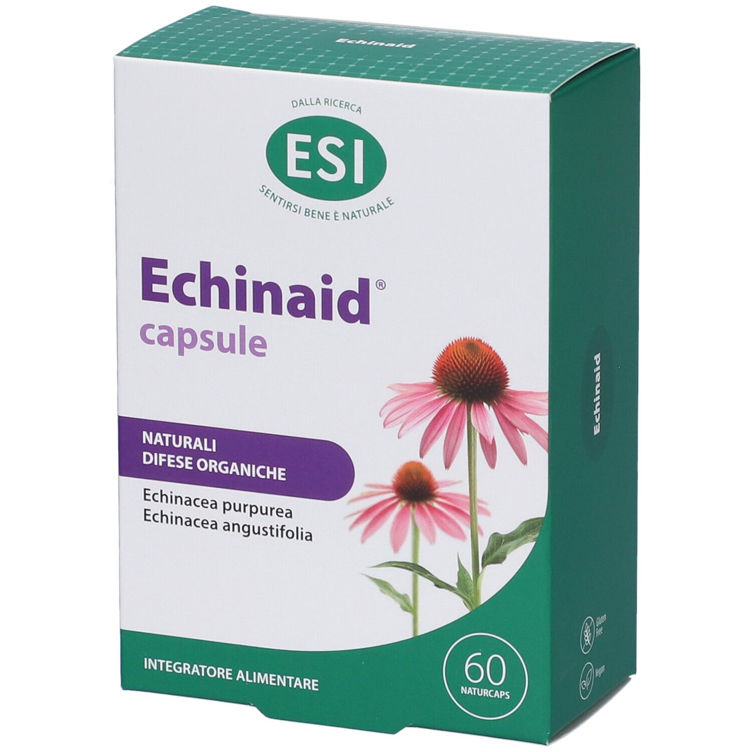ESI Echinaid®