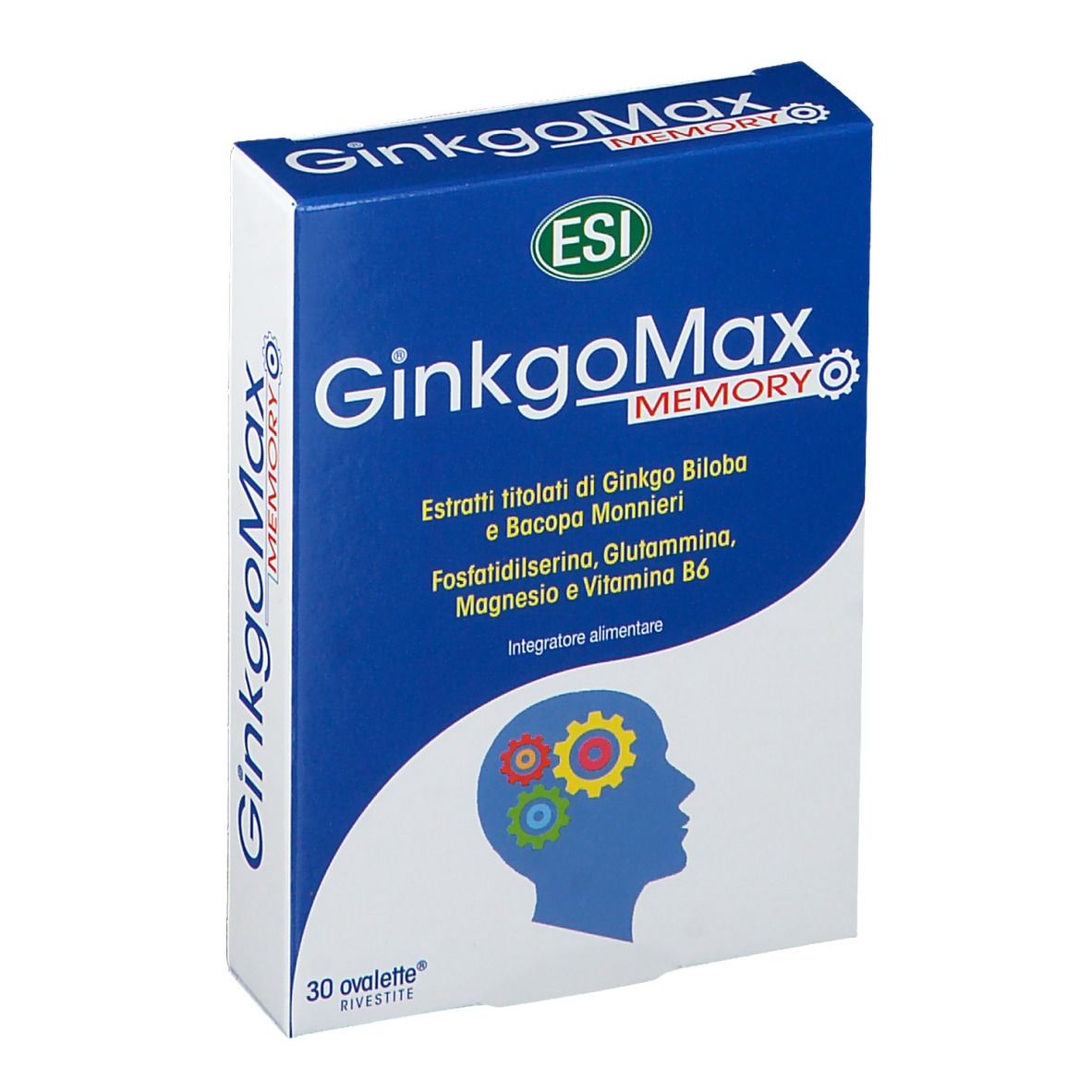 ESI GinkgoMax Memory